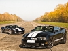 Photo Of The Day Ford GT vs Shelby GT500 Supersnake 003